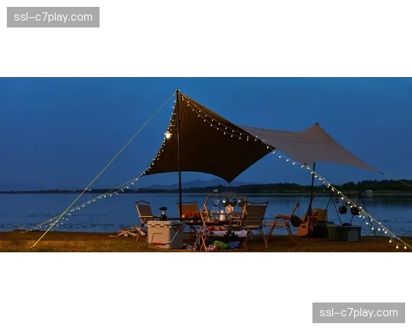 基于观看行为的动态定价试点，探索收益管理新空间。